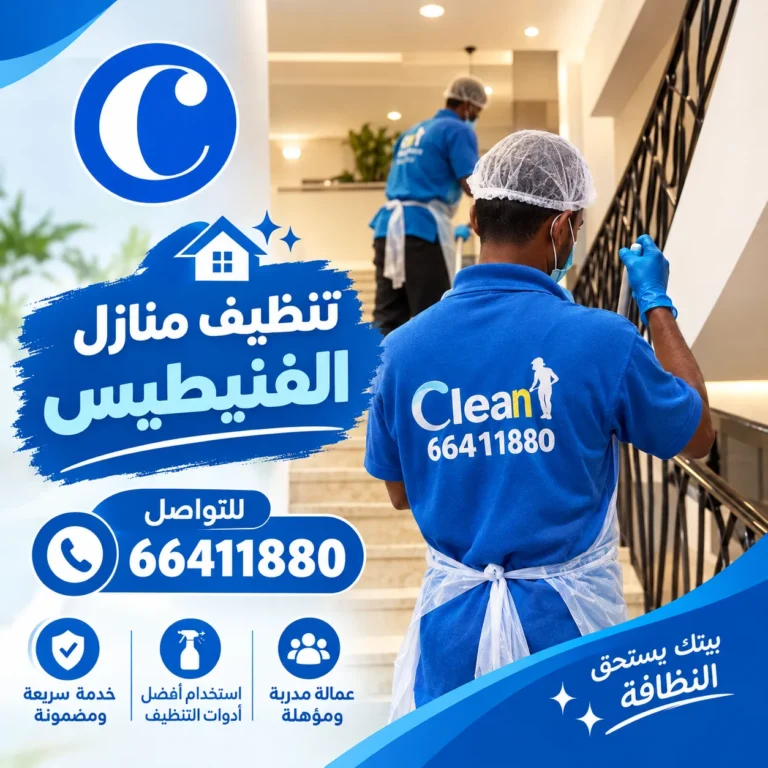 تنظيف منازل الفنيطيس